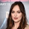 Dakota Johnson estava belíssima na première de "Como Ser Solteira"