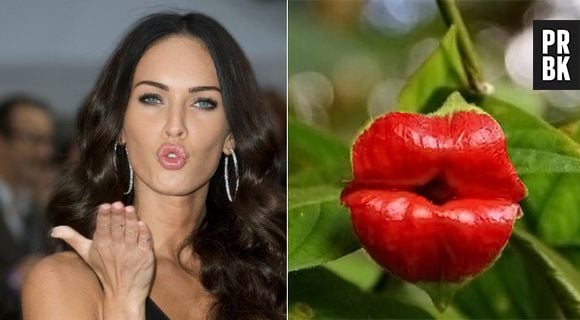 E esse beijo, qual você prefere? Megan Fox?