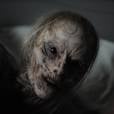  Em "A Face do Mal", criaturas aterrorizantes v&atilde;o assombrar a vida de uma fam&iacute;lia 