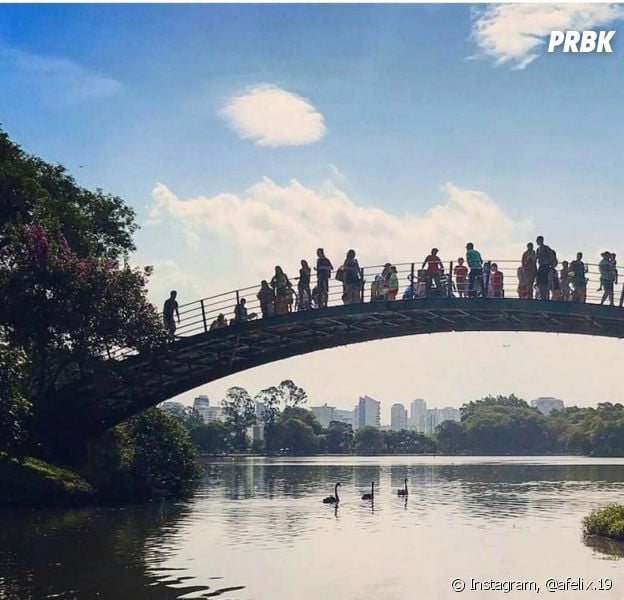 Em São Paulo, o Parque Ibirapuera é um dos pontos mais visitados!