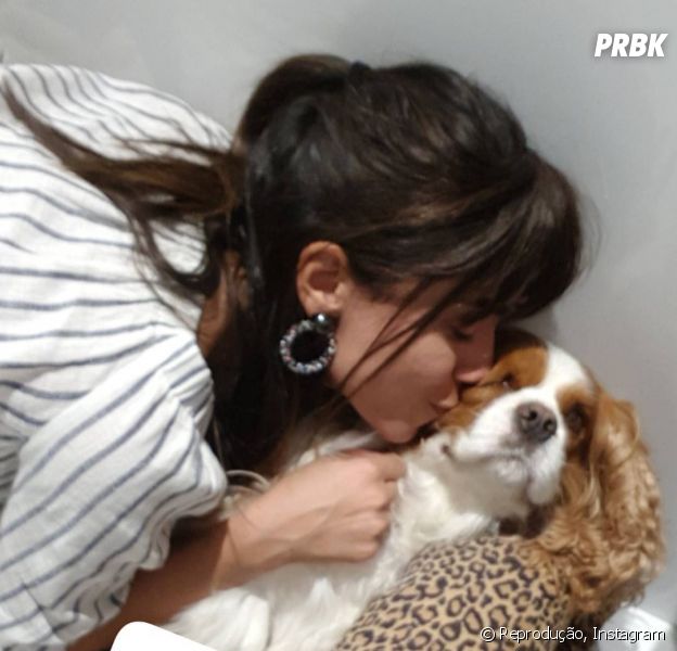 Anitta mostra novo visual em brincadeira com cachorros!