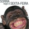 Sexta-feira é dia de abrir um sorrisão desse tamanho!