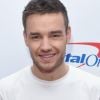 Do One Direction: Liam Payne fala sobre futura reunião de seu antigo grupo em entrevista à EFE