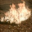 Em "The Originals", Hayley (Phoebe Tonkin) morreu queimada