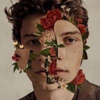 Shawn Mendes lança "In My Blood" em português e gera briga entre Brasil e Portugal