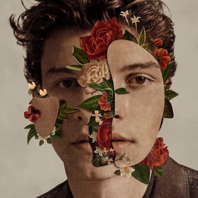 Shawn Mendes Lanca In My Blood Em Portugues E Gera Briga Entre Brasil E Portugal Purebreak