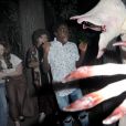 De "Stranger Things": Gaten Matarazzo, Caleb McLaughlin, Sadie Sink e Priah Ferguson visitam o Mundo Invertido no Halloween Horror Nights
