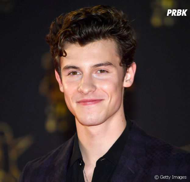 Shawn Mendes faz desabafo após ser retratado como "astro pop neurótico" em entrevista à revista