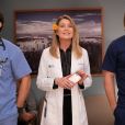 Saiba mais sobre os dois novos amores de Meredith (Ellen Pompeo) na segunda parte da 15ª temporada de "Grey's Anatomy"