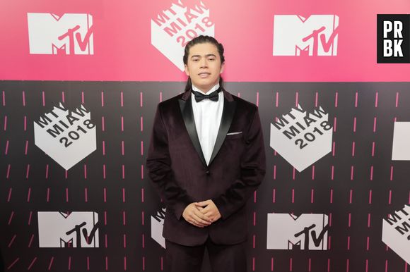 Colunista conta que Whindersson Nunes poderá participar de "Malhação"