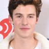 Shawn Mendes vem para o Brasil no final de 2019