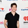 Shawn Mendes trará sua turnê para o Brasil!