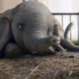Remake de "Dumbo" traz um novo olhar sobre o conto do elefante voador