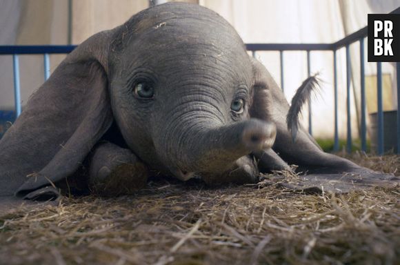 Remake de "Dumbo" traz um novo olhar sobre o conto do elefante voador
