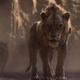 Filme "O Rei Leão": Scar é destaque em novo trailer do filme!