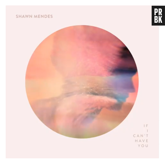 Shawn Mendes deve apresentar "If I Can't Have You" ao vivo no "Saturday Night Live"