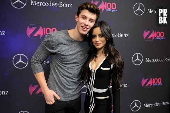 Pode vir feat do ano! Shawn Mendes e Camila Cabello postam teasers e fãs criam teorias sobre parceria