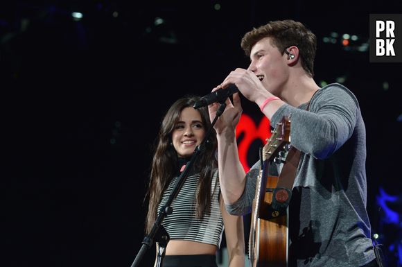 Shawn Mendes e Camila Cabello podem estar preparando parceria e esses teasers são a prova