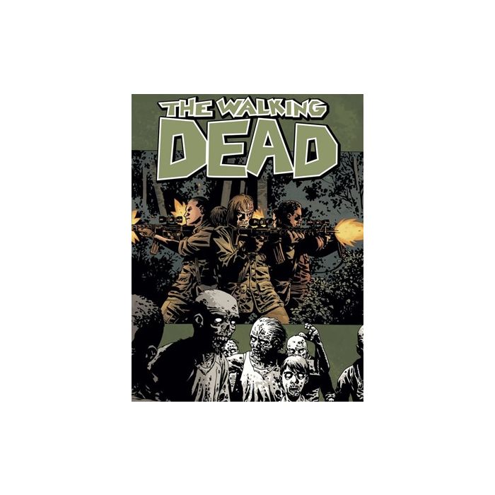 &quot;The Walking Dead&quot;: quadrinhos chegarão ao fim!