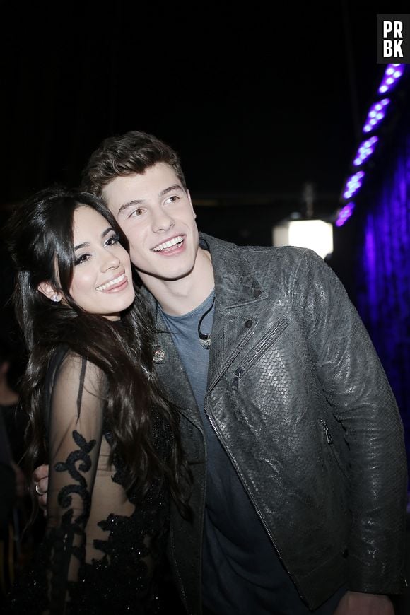 Camila Cabello e Shawn Mendes estão namorando? Veja as evidências do Purebreak