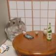 Os direitos trabalhistas dos hamsters permitem umas horas de lazer no meio do expediente
