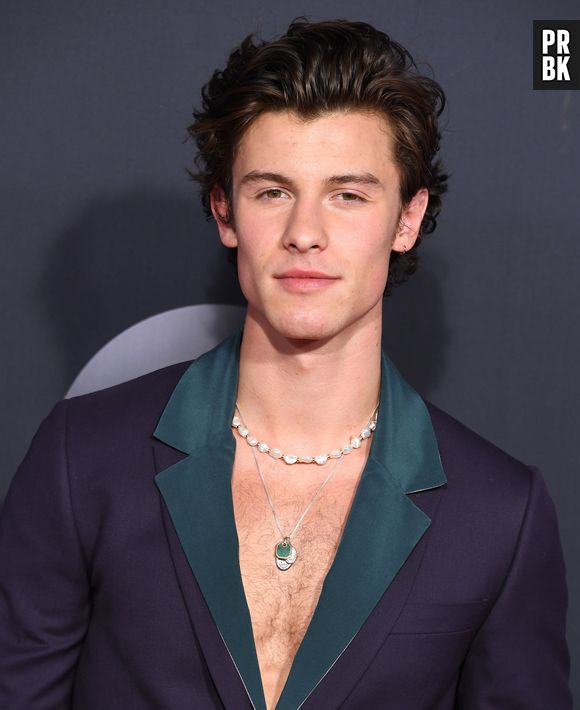 Shawn Mendes atendeu os fãs na porta do hotel em São Paulo