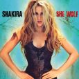 Shakira e seu hino atemporal "She Wolf" também poderiam ser adaptados para o TikTok