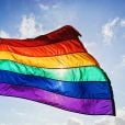  Em resumo, LGBTQQICAPF2K+ significa: Lésbicas, Gays, Bissexuais, Transexuais e Travestis, Queer, Questionando, Intersexo, Curioso, Assexuais, Pan e Polissexuais, Aliados, Two-spirit e Kink 