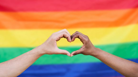 O que é o + de LGBTQIA+?