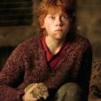"Harry Potter": relembre frases marcantes de Ron Weasley