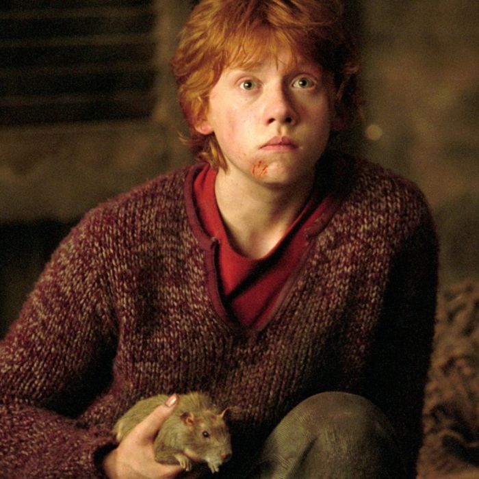 Harry Potter: relembre frases marcantes de Ron Weasley - Purebreak