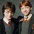 Quiz "Harry Potter": quem disse estas frases, Harry ou Rony?