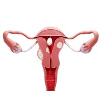 Você sabe tudo sobre a vagina? Faça o quiz e descubra!