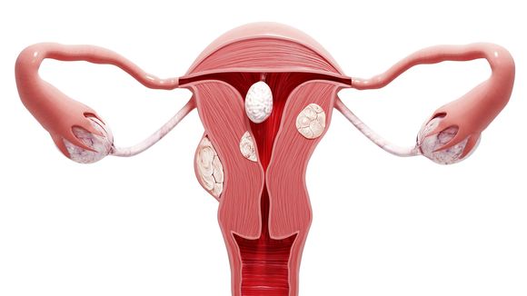 Você sabe tudo sobre a vagina? Faça o quiz e descubra!