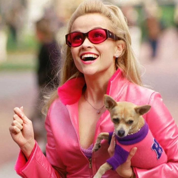 &quot;Legalmente Loira&quot;: comédia romântica marcou a carreira de Reese Witherspoon