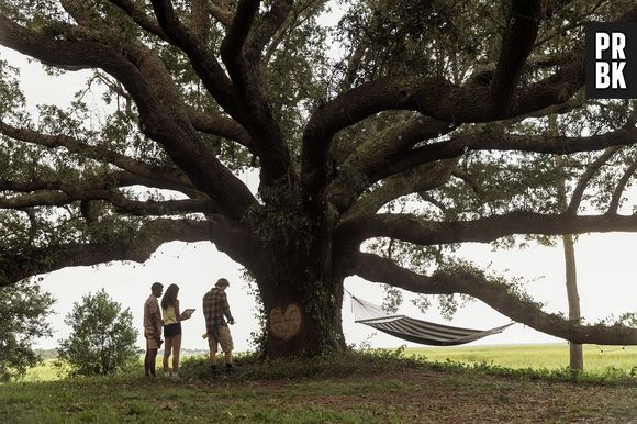 Kiara (Madison Bailey), Pope (Jonathan Daviss) e JJ (Rudy Pankow) defendem o amigo acusado injustamente e se deparam com novos amigos/ inimigos em casa em "Outer Banks"