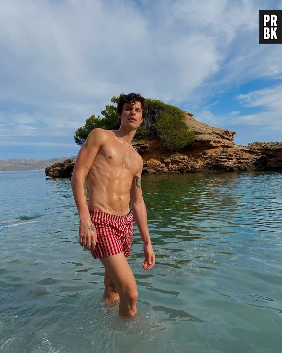 Deve ser horrível odiar o Shawn Mendes e não poder chamá-lo de feio