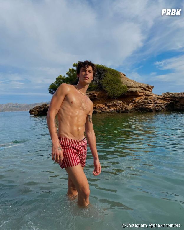 Deve ser horrível odiar o Shawn Mendes e não poder chamá-lo de feio