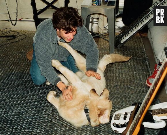 Shawn Mendes e Camila Cabello têm um cachorro chamado Tarzan