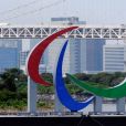 O Comitê Paralímpico Brasileiro levou 260 atletas para Tóquio