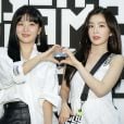 Irene e Seulgi, do Red Velvet, inspiraram novo livro sobre romance lésbico