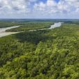  Governo Bolsonaro bateu recorde de ameaça ao desmatamento, entretanto, Bolsonaro apontou "números positivos" em relação ao meio-ambiente 