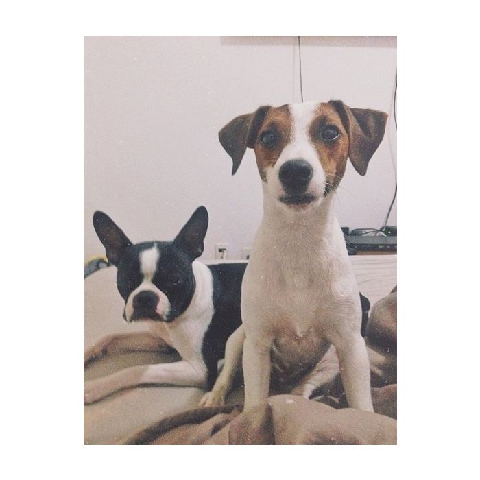  Chay Suede recheou seu Instagram de fotos fofas com seu cachorrinho e sempre com legendas superfofas! 