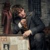 "Os Segredos de Dumbledore": primeiro teaser do 3º filme de "Animais Fantásticos" mostra Newt Scamander (Eddie Redmayne) e seus amigos bruxos embarcando em uma nova aventura