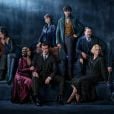 1º teaser de "Animais Fantásticos 3" traz retrospectiva da saga "Harry Potter" e mostra como a franquia foi expandida