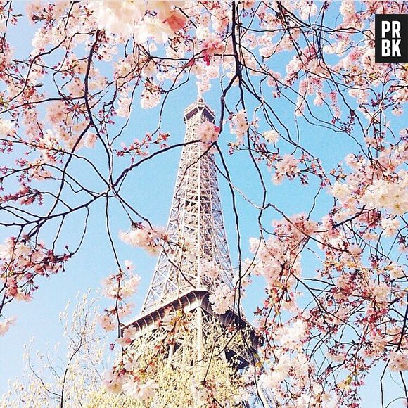 Paris por Carin Olssen