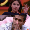 "BBB22": Arthur Aguiar ou Jade Picon, quem você seria?