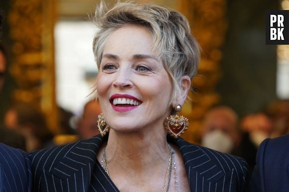 Sharon Stone pode ser a vilã de Bruna Marquezine em "Besouro Azul"