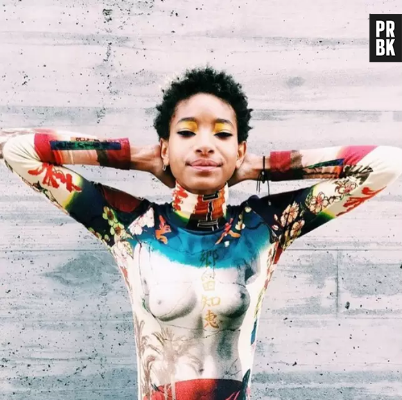 Willow Smith simulou nudez aos 14 anos