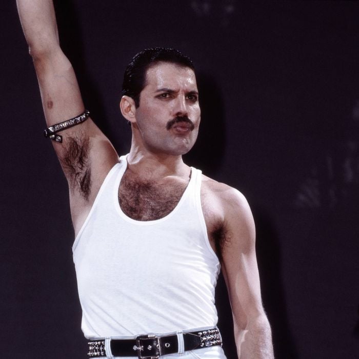 &quot;Bohemian Rhapsody&quot; é o filme que conta a história de Freddie Mercury no Queen e foi estrelado por Rami Malek